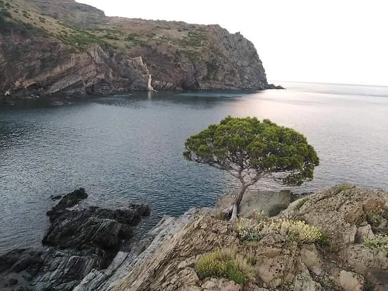 Hostal Sant Jordi Τόσα ντε Μαρ Πανσιόν